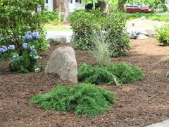 greenSweep