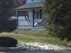 porchLounge